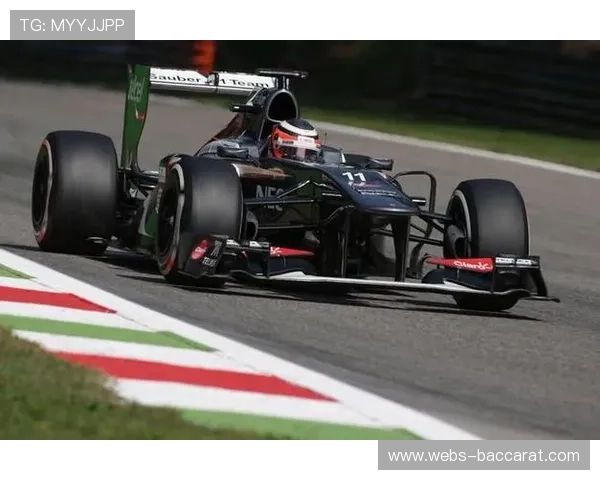 霍肯伯格、加斯利等车手巴西站收获积分,中游车队争夺白热化 霍肯伯格、加斯利等车手巴西站收获积分,中游车队争夺白热化